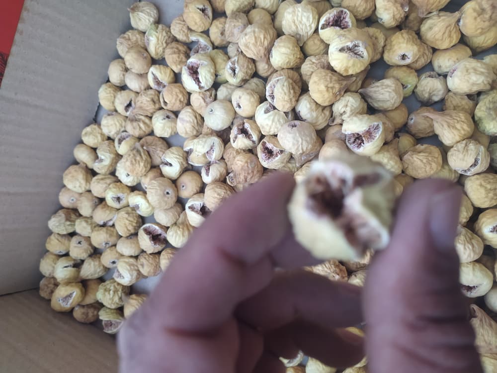 تصویر 1 از خرید بهترین انجیر استهبان + قیمت فوق العاده